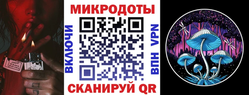сколько стоит  Рузаевка  Галлюциногенные грибы Cubensis 